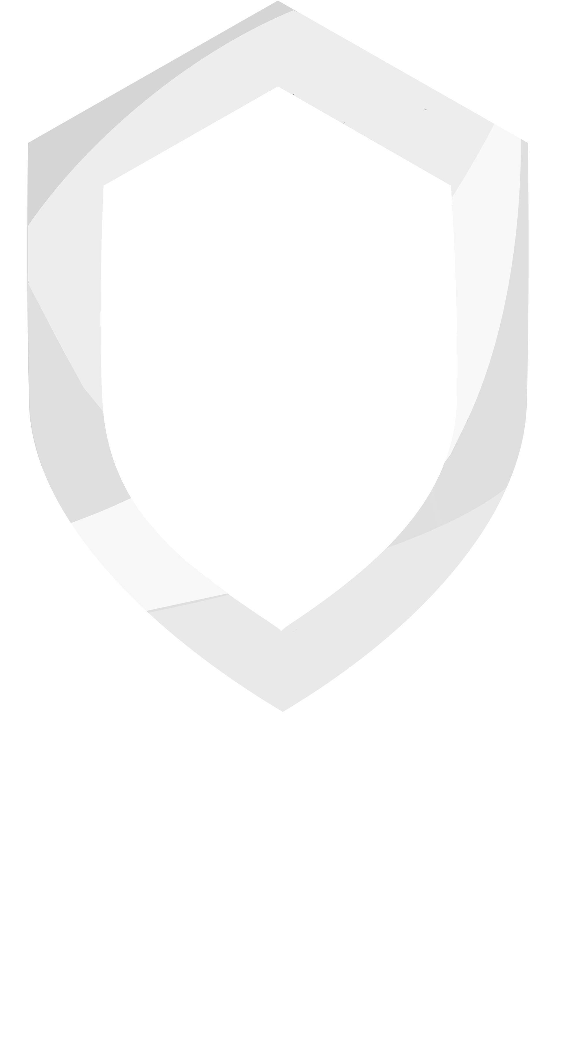 Borealos Security Logo